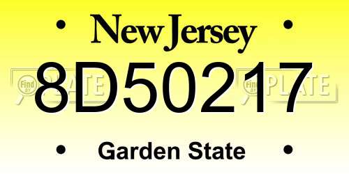 8D50217 New Jersey License Plate