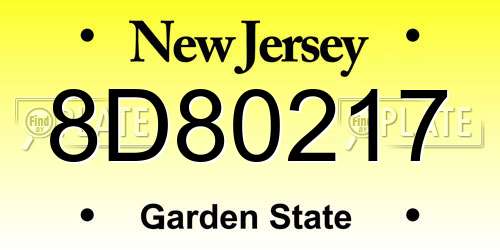 8D80217 New Jersey License Plate