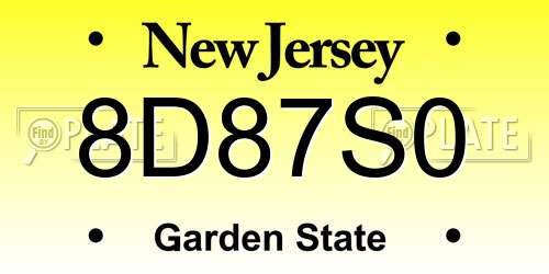 8D87S0 New Jersey License Plate