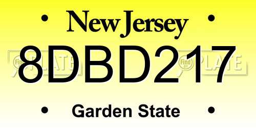 8DBD217 New Jersey License Plate