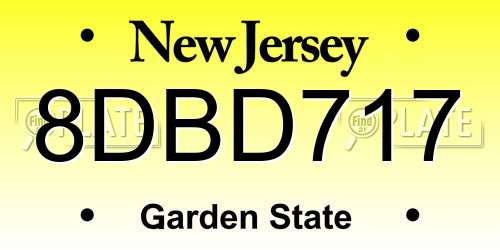 8DBD717 New Jersey License Plate