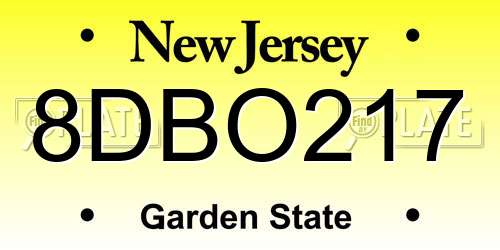 8DBO217 New Jersey License Plate