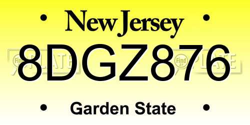 8DGZ876 New Jersey License Plate