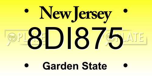 8DI875 New Jersey License Plate