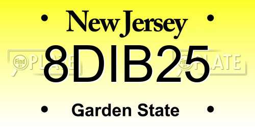 8DIB25 New Jersey License Plate