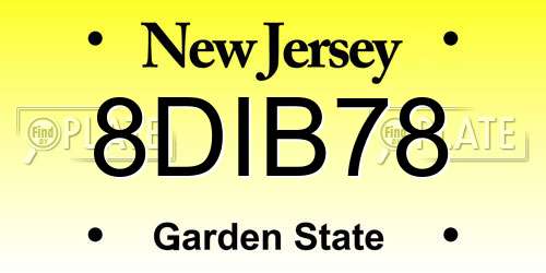 8DIB78 New Jersey License Plate