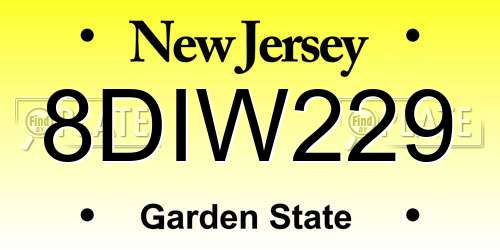 8DIW229 New Jersey License Plate