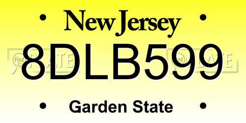 8DLB599 New Jersey License Plate
