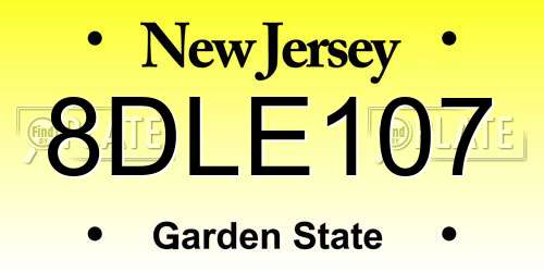 8DLE107 New Jersey License Plate