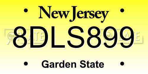 8DLS899 New Jersey License Plate