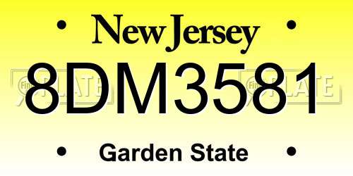 8DM3581 New Jersey License Plate