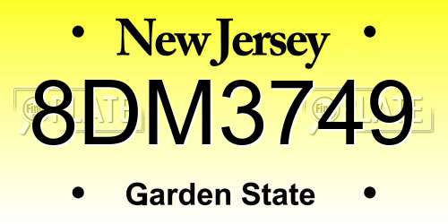 8DM3749 New Jersey License Plate