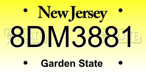 8DM3881 New Jersey License Plate