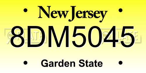 8DM5045 New Jersey License Plate