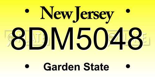 8DM5048 New Jersey License Plate