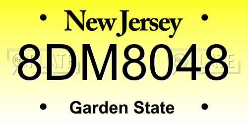 8DM8048 New Jersey License Plate