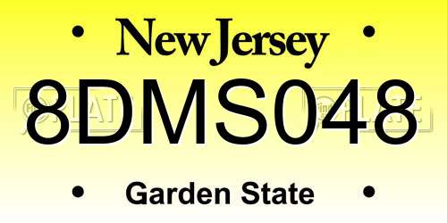 8DMS048 New Jersey License Plate