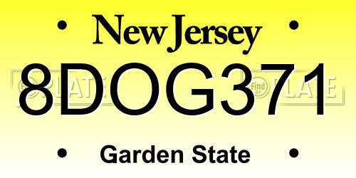 8DOG371 New Jersey License Plate