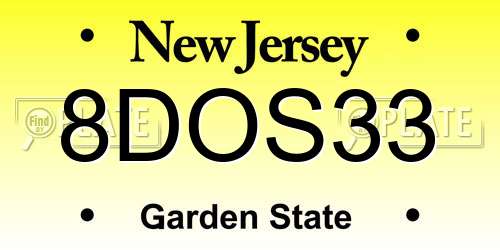 8DOS33 New Jersey License Plate