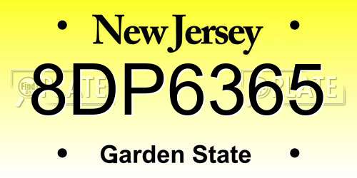 8DP6365 New Jersey License Plate