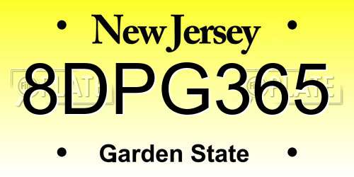 8DPG365 New Jersey License Plate