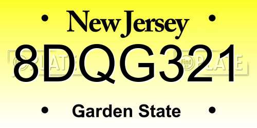 8DQG321 New Jersey License Plate