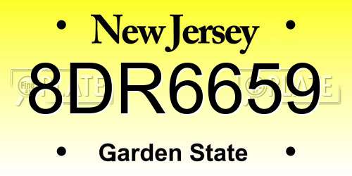 8DR6659 New Jersey License Plate