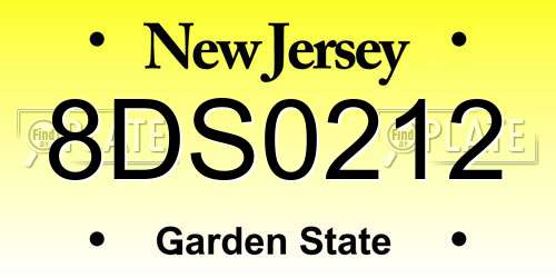 8DS0212 New Jersey License Plate
