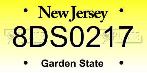 8DS0217 New Jersey License Plate
