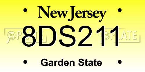 8DS211 New Jersey License Plate