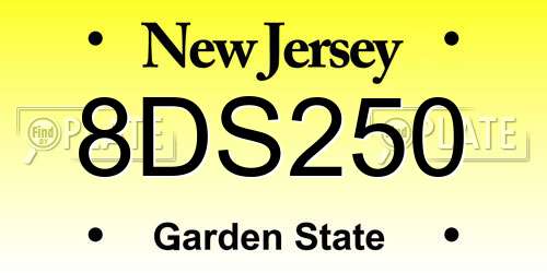 8DS250 New Jersey License Plate