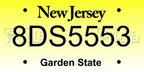 8DS5553 New Jersey License Plate