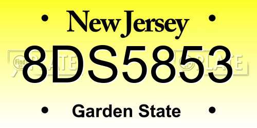 8DS5853 New Jersey License Plate