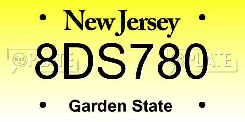 8DS780 New Jersey License Plate