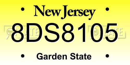 8DS8105 New Jersey License Plate