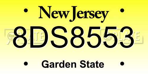 8DS8553 New Jersey License Plate