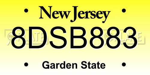 8DSB883 New Jersey License Plate