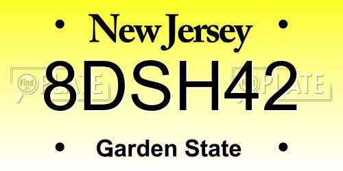 8DSH42 New Jersey License Plate