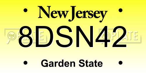 8DSN42 New Jersey License Plate