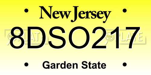 8DSO217 New Jersey License Plate