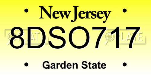 8DSO717 New Jersey License Plate