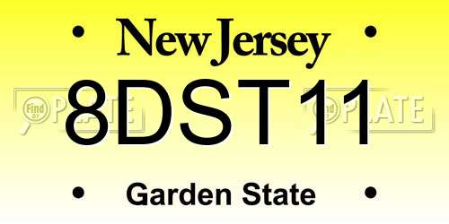 8DST11 New Jersey License Plate