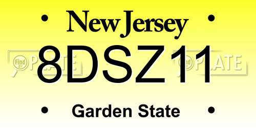 8DSZ11 New Jersey License Plate