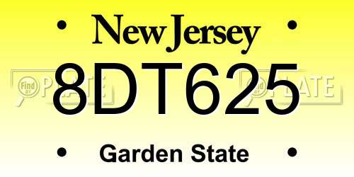 8DT625 New Jersey License Plate