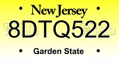 8DTQ522 New Jersey License Plate