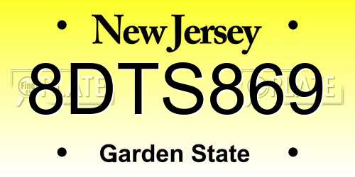8DTS869 New Jersey License Plate
