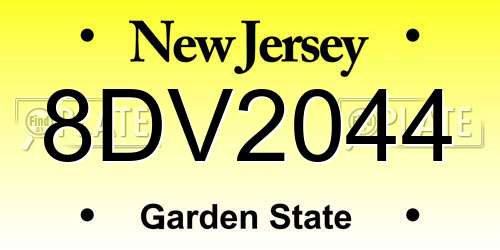 8DV2044 New Jersey License Plate