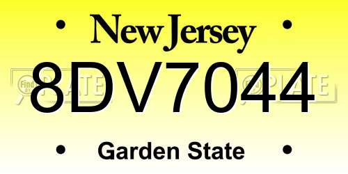 8DV7044 New Jersey License Plate