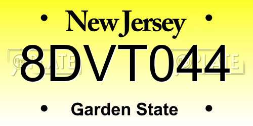 8DVT044 New Jersey License Plate