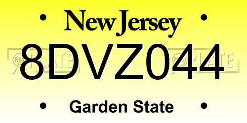 8DVZ044 New Jersey License Plate